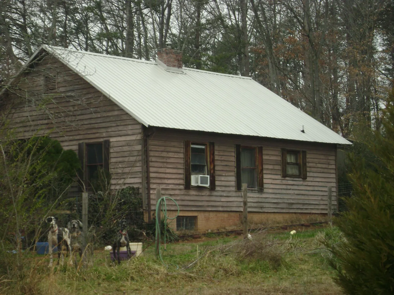 White metal roof on an old wood sided farmhouse, from a Asphalt Shingle Roof Repair job in Hartfield